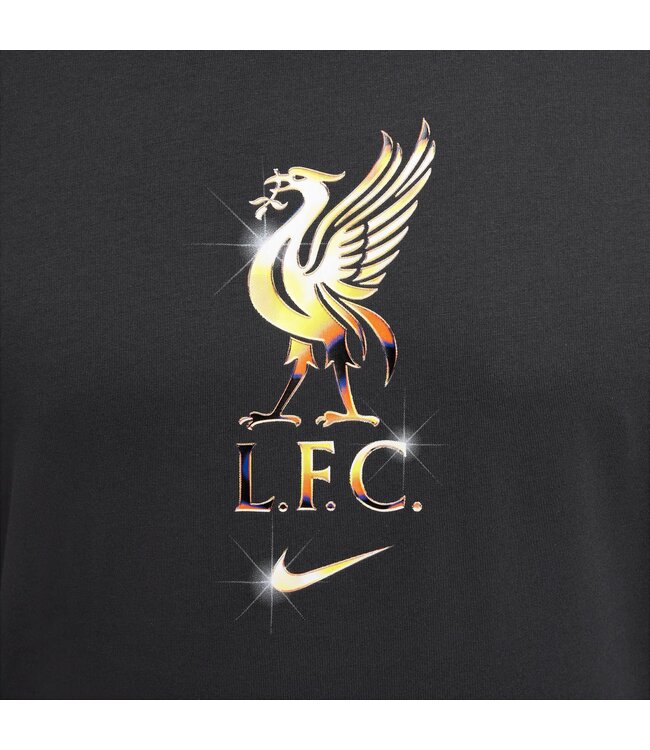 Nike Liverpool 24/25 Crest Tee (Gray)