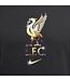 Nike Liverpool 24/25 Crest Tee (Gray)