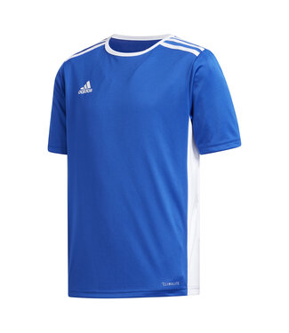 Adidas ENTRADA 18 JERSEY YOUTH (BLUE)