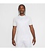 Nike Academy Dri-Fit SS Top (White/Gray/Mint)