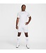 Nike Academy Dri-Fit SS Top (White/Gray/Mint)