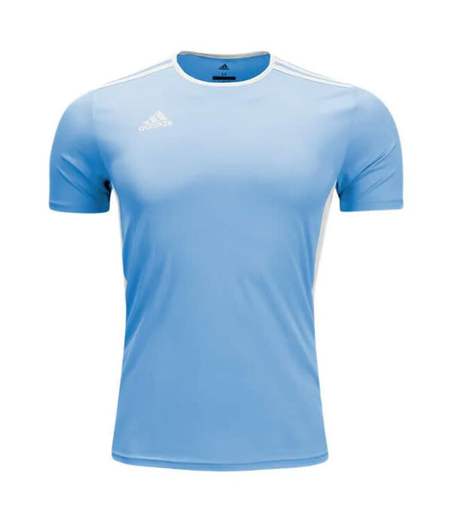 Adidas Entrada 18 Jersey (Light Blue)