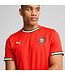 PUMA Portugal 2025 Home Jersey (Red)