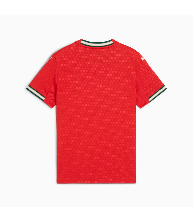 PUMA Portugal 2025 Home Jersey Youth (Red)
