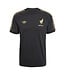 Adidas MEXICO 2025 GOLD TEE (BLACK/GOLD)