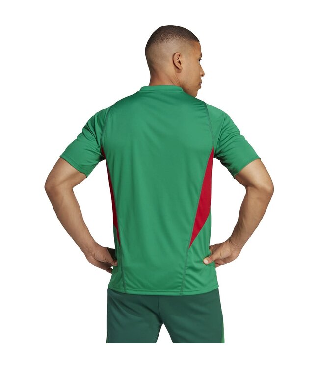 Adidas Mexico 2022 Tiro Training Jersey (Green)