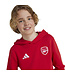 Adidas Arsenal 24/25 Hoodie Youth (Red)