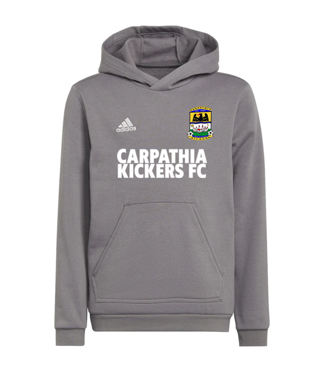 Adidas ENTRADA 22 HOODY YOUTH (GRAY)