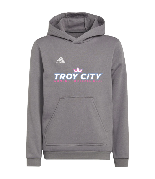 Adidas ENTRADA 22 HOODY YOUTH (GRAY)