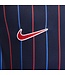 Nike USA 2025 Away Jersey Youth (Navy)
