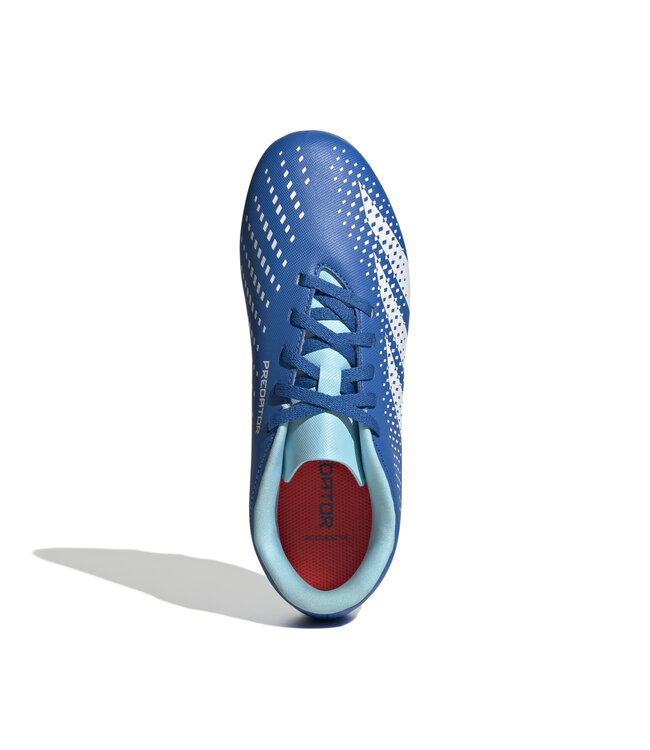 Adidas Predator Accuracy.4 FxG Jr (Blue/White)