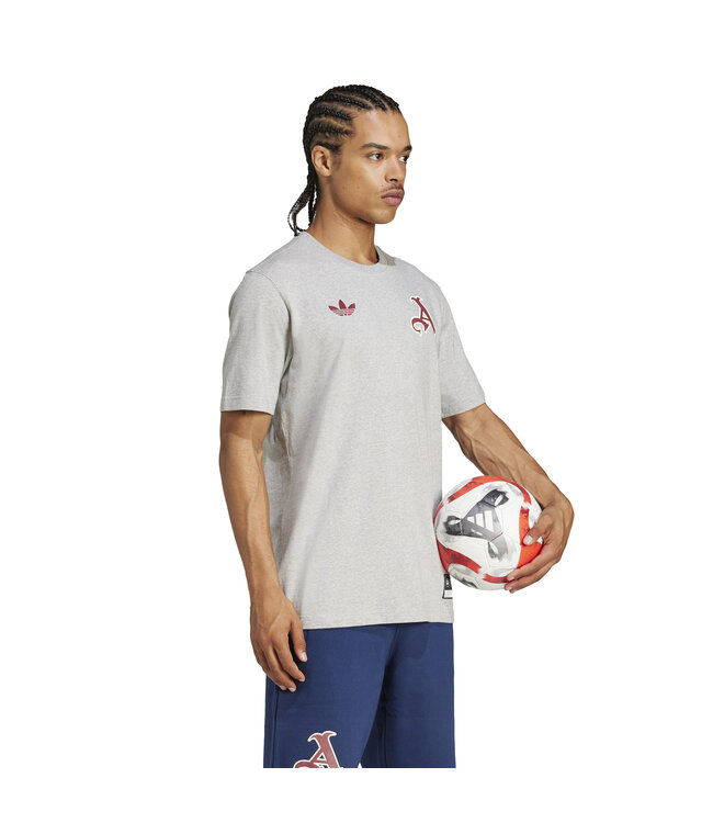 Adidas Arsenal 24/25 VRCT Tee (Gray)