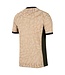 Nike PSG 23/24 Fourth Jersey (Tan/Green)