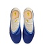 Nike Phantom 6 Low Elite LV8 FG (Blue/White)