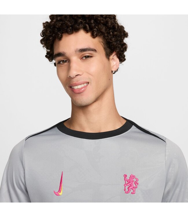 Nike Chelsea 24/25 Academy Pro Prematch Jersey (Gray)