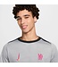 Nike Chelsea 24/25 Academy Pro Prematch Jersey (Gray)