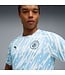 PUMA Manchester City 25/26 Training Jersey (Blue/White)