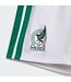 Adidas Mexico 2026 Home Mini Kit Kids (Green)