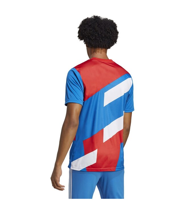 Adidas Bayern Munich 22/23 Prematch Jersey (Red/Blue)