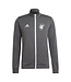 Adidas DCFC Entrada 22 Jacket Youth (Gray)