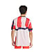 Adidas Bayern 25/26 Prematch Jersey (Tan/Multi)