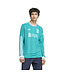 Adidas Liverpool 25/26 Long Sleeve Third Jersey (Green)