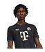 Adidas Bayern 25/26 Third Jersey (Black)
