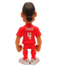 Minix Figure (Van Dijk Liverpool)
