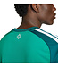 Adidas Northern Ireland 2026 Home Jersey (Green)