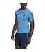Adidas Argentina 2022 Tiro Training Jersey (Blue)