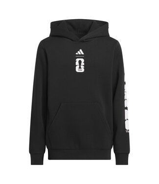 Adidas WORLD CUP 2026 MATCH BALL GRAPHIC HOODIE YOUTH (BLACK)