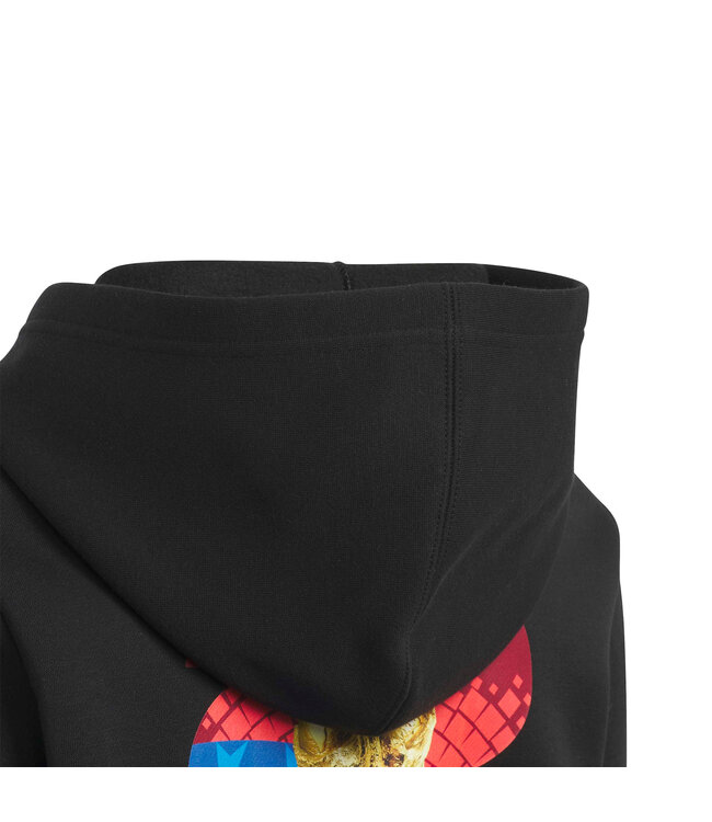 Adidas World Cup 2026 Match Ball Graphic Hoodie Youth (Black)