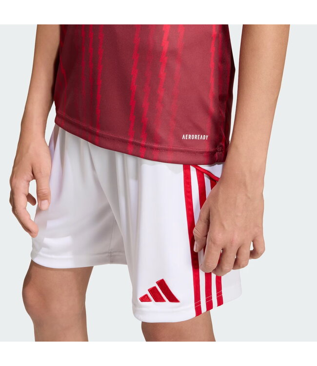 Adidas Arsenal 25/26 Prematch Jersey Youth (Red)