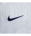 Nike Chelsea 25/26 Academy Pro Prematch Jersey (White)