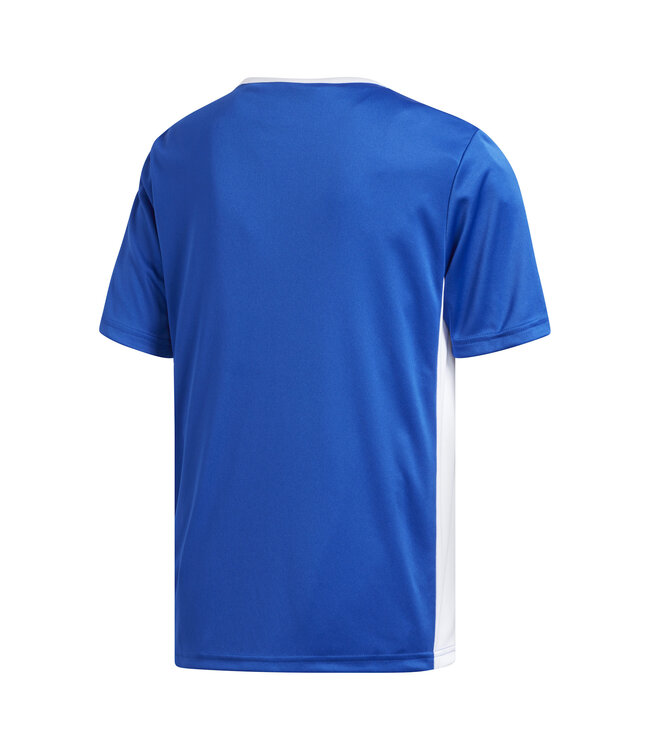 Adidas Entrada 18 Jersey Youth (Blue)