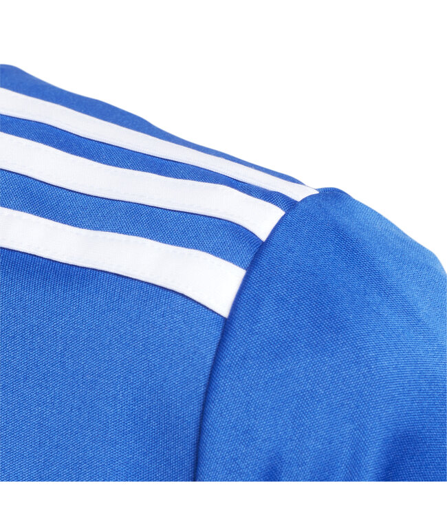Adidas Entrada 18 Jersey Youth (Blue)