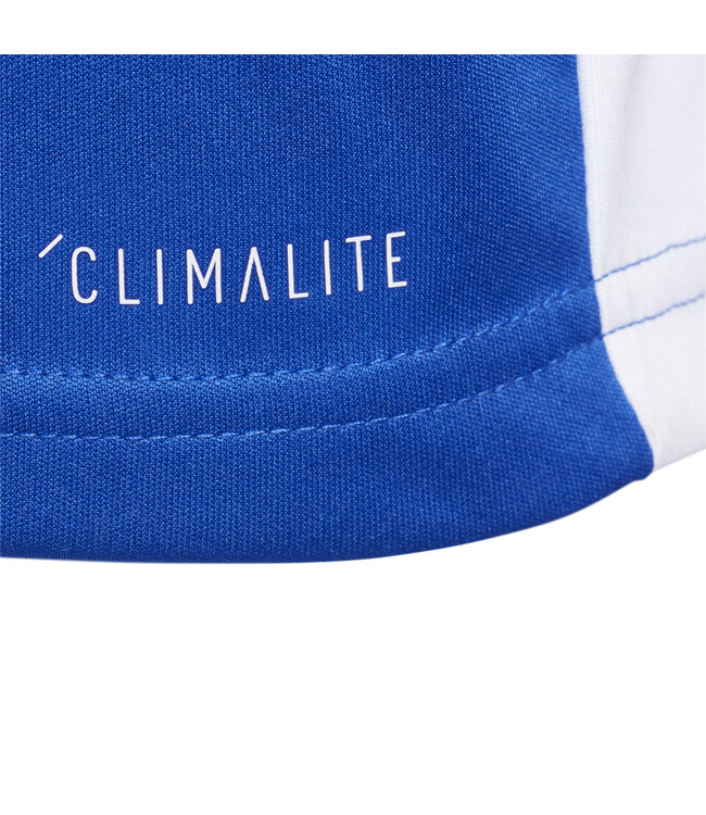 Adidas Entrada 18 Jersey Youth (Blue)