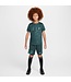 Nike Tottenham 24/25 Academy Pro Prematch Jersey Youth (Green)