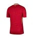 Nike Liverpool 24/25 Home Matchfit Jersey (Red)