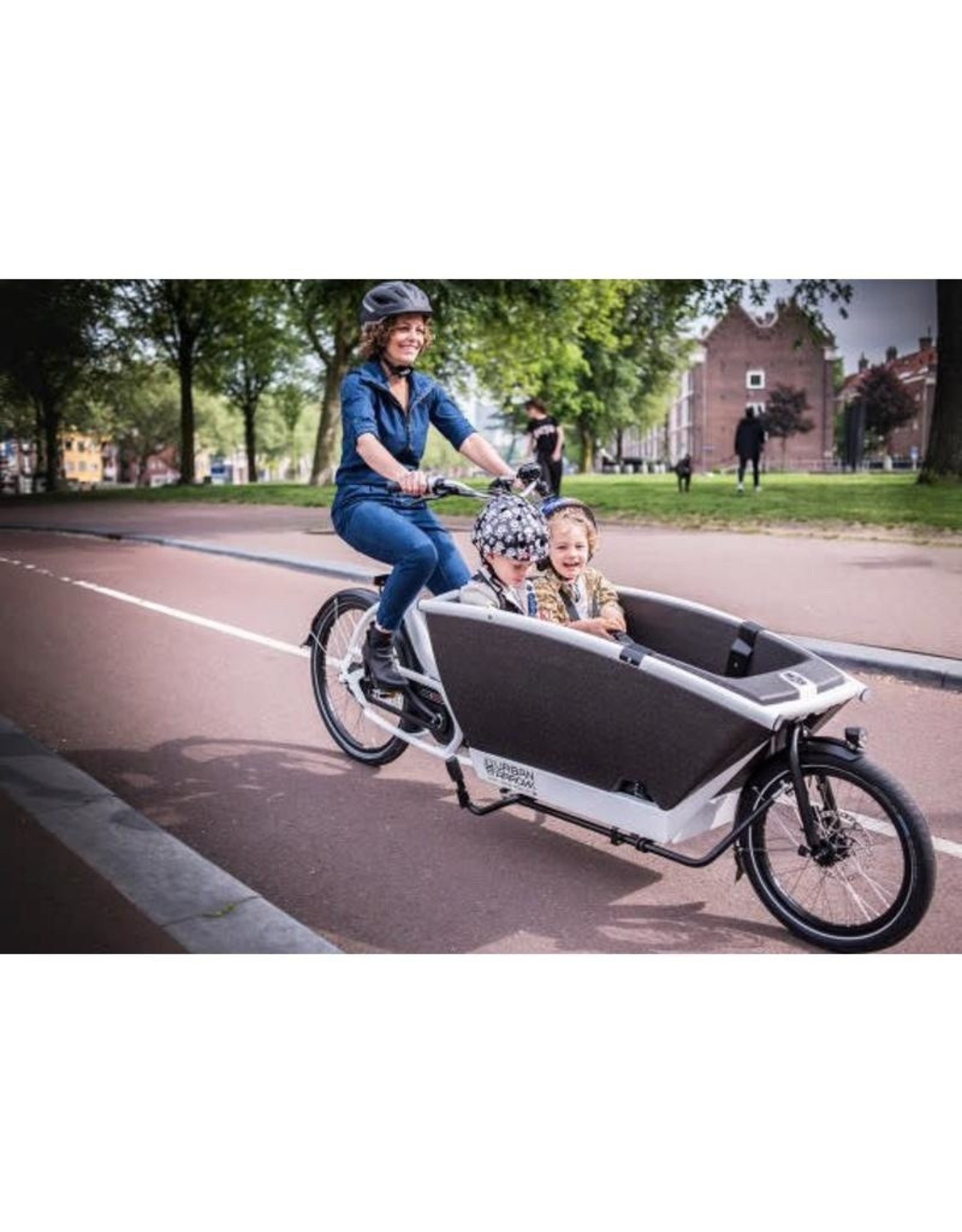 arrow cargo bike