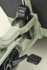 Urban Arrow Urban Arrow Family Next Pro, Green