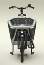 Urban Arrow Urban Arrow Family Next Pro, Green