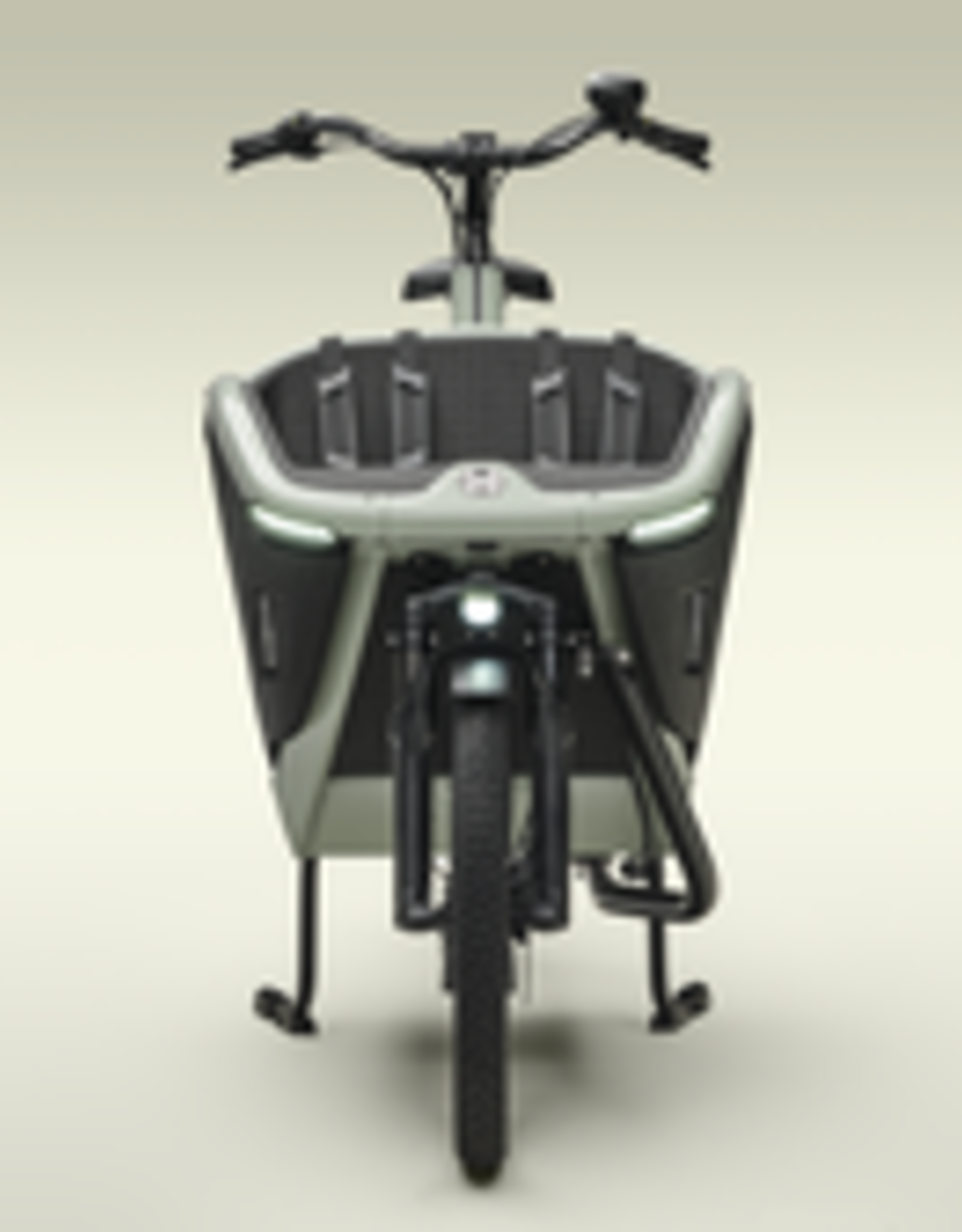 Urban Arrow Urban Arrow Family Next Pro, Green