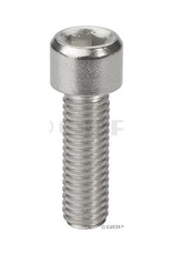 Surly Constrictor Replacement Bolt M8 x 25mm