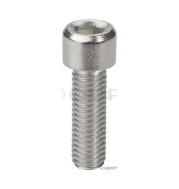 Surly Constrictor Replacement Bolt M8 x 25mm