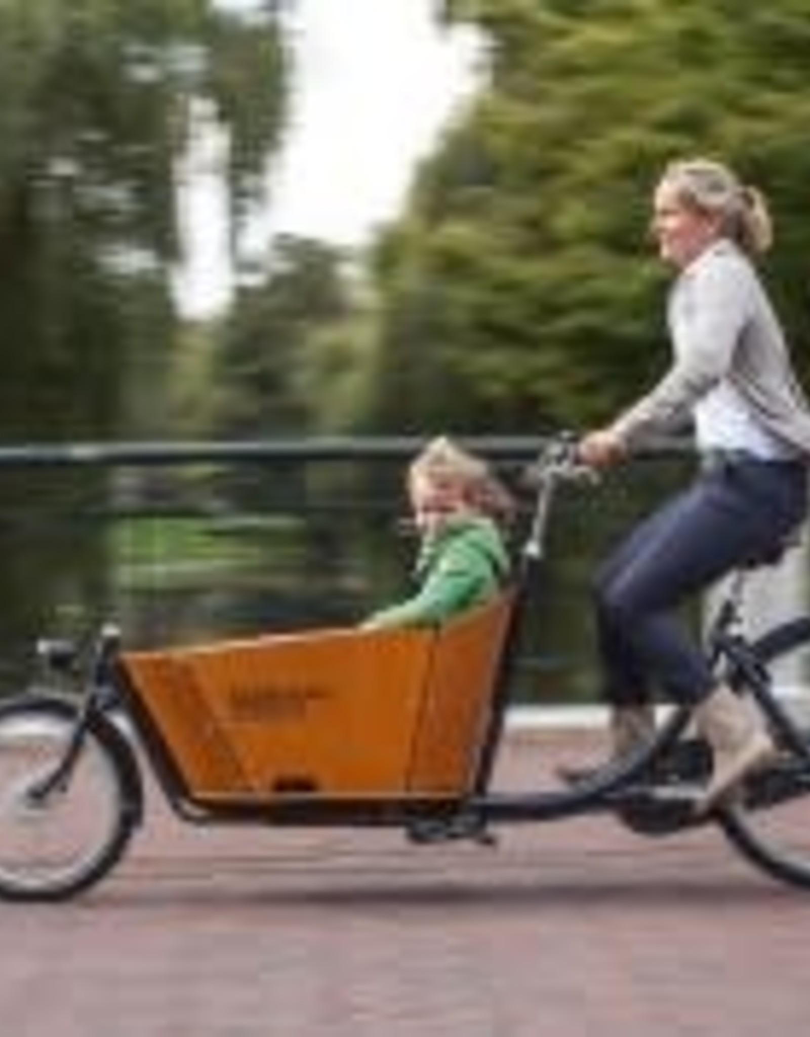 family cargo bike
