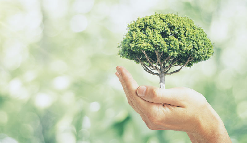 5 Easy Product Swaps for a Greener Lifestyle