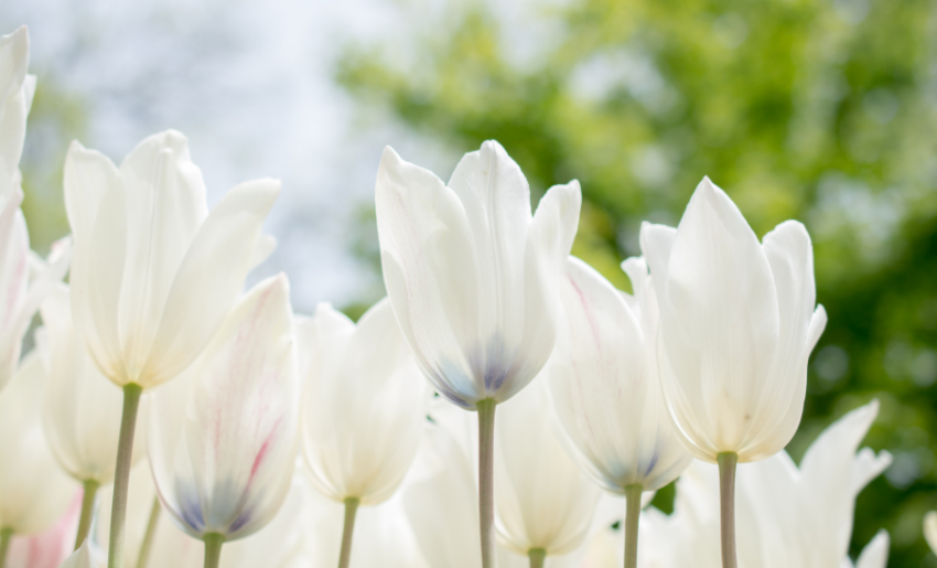 Earth Month Activities for the Whole Family
