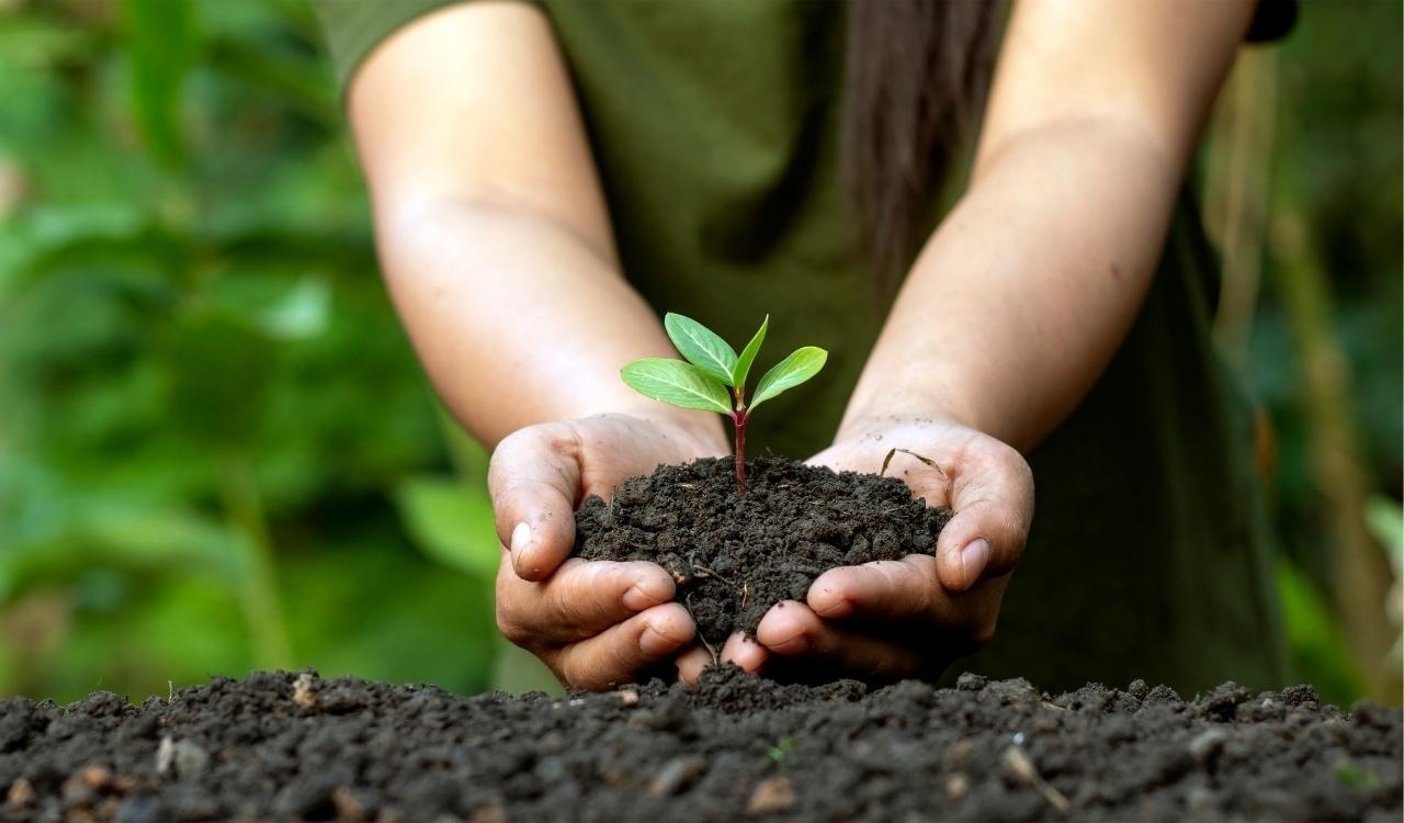 World Environment Day and World Oceans Day 2022