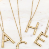 Initial Letter Charm Long Necklace